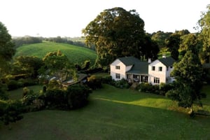 Day Tour to Kiambethu Tea Farm