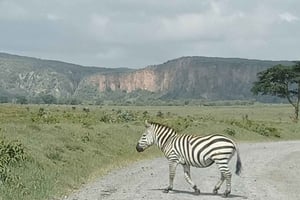 DAGSTUR - LAKE NAIVASHA OG HELL'S GATE PARK - MED PARKAFGIFTER
