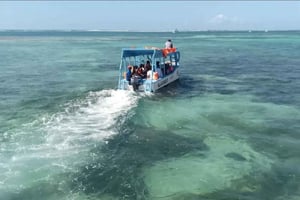 Diani Beach: Krydstogt med glasbåd til Robinson Island
