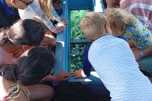 Plaża Diani: rejs łodzią z przeszklonym dnem na wyspę Robinson