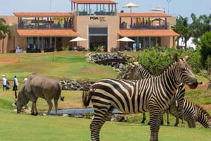 Diani : visite citadine, golf de Vipingo Ridge, safari dans le parc de Tsavo East