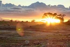 Diani: Dirt Bike Tour, Rukinga Conservation, Wildlife & Hike