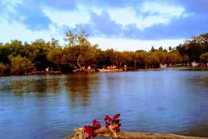 Diani: Kanotur ved solnedgang på Kongo-floden med afhentning på hotellet