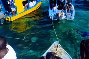 Diani: tour en barco con fondo de cristal por la isla Robinson
