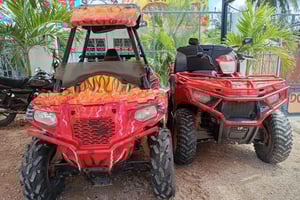 Диани: холмы Шимба и приключение на квадроциклах в деревне Мвабунго