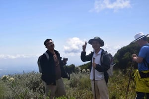 Escursione alle Elephant Hills: avventura di 1 giorno alle Aberdares