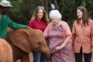 Elefantbørnehjem, girafcenter og Karen Blixxen dagstur