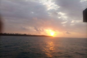 Da Diani: crociera in dhow al tramonto a Kisite con prelievo in hotel