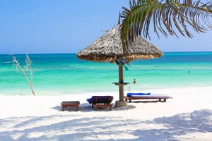 Från Nairobi: 15-dagars safari i Kenya och Tanzania med Zanzibar