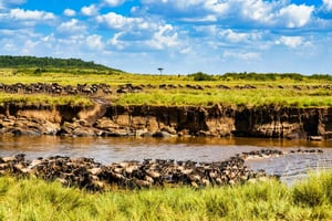 Z Nairobi: Jednodniowa wycieczka do Maasai Mara