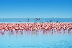Från Nairobi: Heldagssafari i Nakurusjöns nationalpark