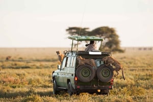 Z Nairobi: Maasai Mara 3Day Niedrogie safari na Jeepie