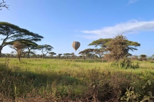 Desde Nairobi: Safari económico de 6 días a Masái Mara
