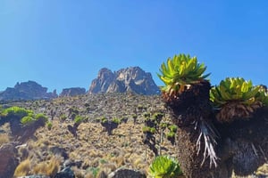 Fra Nairobi: 4-dagers trekkingopplevelse på Mount Kenya