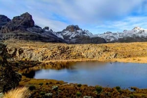 Från Nairobi: Dagsvandring i Mount Kenya med transfer