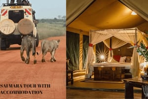 Fra Nairobi til Masai Mara: 2 dager, 1 natt, privat safari