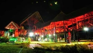 Giraffe Ark Game Lodge