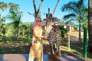 dai da mangiare alle giraffe