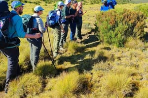 Visita guiada a las colinas de Ngong desde Nairobi