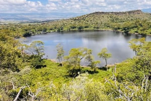 ヘルズゲート自転車ツアーとナイバシャ湖ボートサファリ