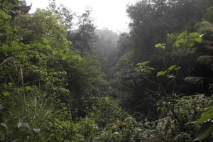 Historische, natuurlijke wonderen: Zaina Falls & Mau Mau Cave Hike