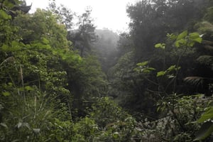 Historyczne cuda natury: wodospady Zaina i wędrówka do jaskini Mau Mau