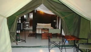 Impala Safari Lodge, Tsavo