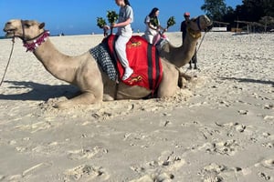 Kajiado: Sunset Camel Ride through Lake Magadi Tour