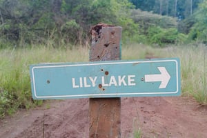 Dagtocht naar het Karurawoud vanuit Nairobi