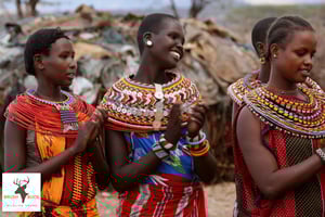 Safari africano de 7 dias no Quênia e na Tanzânia