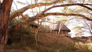 Kigio Wildlife Camp