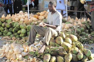 Kilifi: Kokosnötstur med provsmakning och snacks