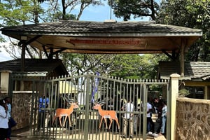 Kisumu City: Historical and Modern Walking Tour