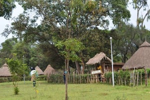 Kitale: Museum and Pokot Cultural Experience Tour