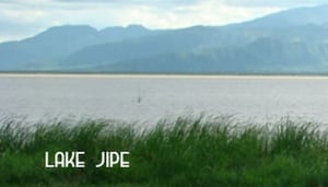 KWS Lake Jipe Bandas