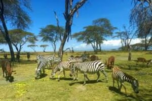 Abenteuer am Naivashasee: Crescent Island mit Bootssafari