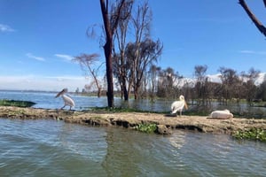 ナイヴァシャ湖でカヤックと釣り体験をお楽しみください