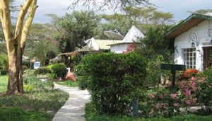Lake Naivasha Resort