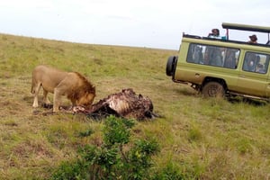Safari sul lago Nakuru 2 giorni e 1 notte.