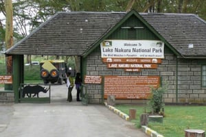Dagsutflykt från Nairobi till nationalparken Lake Nakuru