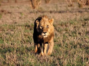 Quick Bird Tour And Travels Limited