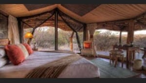 Lewa Safari Camp