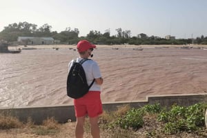 Malindi: tour guiado por los puntos destacados de la ciudad