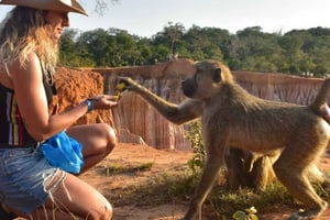 マリンディ：マンブルイ砂丘での四輪バギーとマラファでのサンセットツアーをお楽しみください