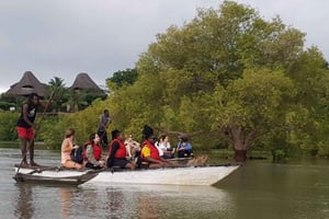 マングローブツアー