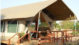 Mara Eden Safari Camp