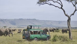 Mara Serena Safari Lodge