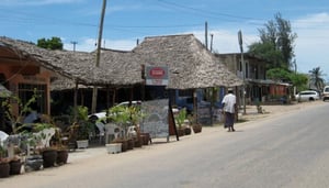 Marina Tours and Safaris