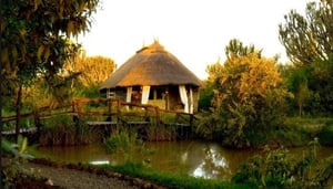 Mbweha Camp, Lake Nakuru