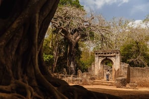 Mombasa: 7 dagars upplevelse på Swahilikusten med måltider